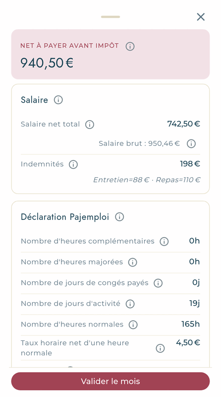 Détail du mois : net à payer, salaire, indemnités et éléments de la déclaration Pajemploi